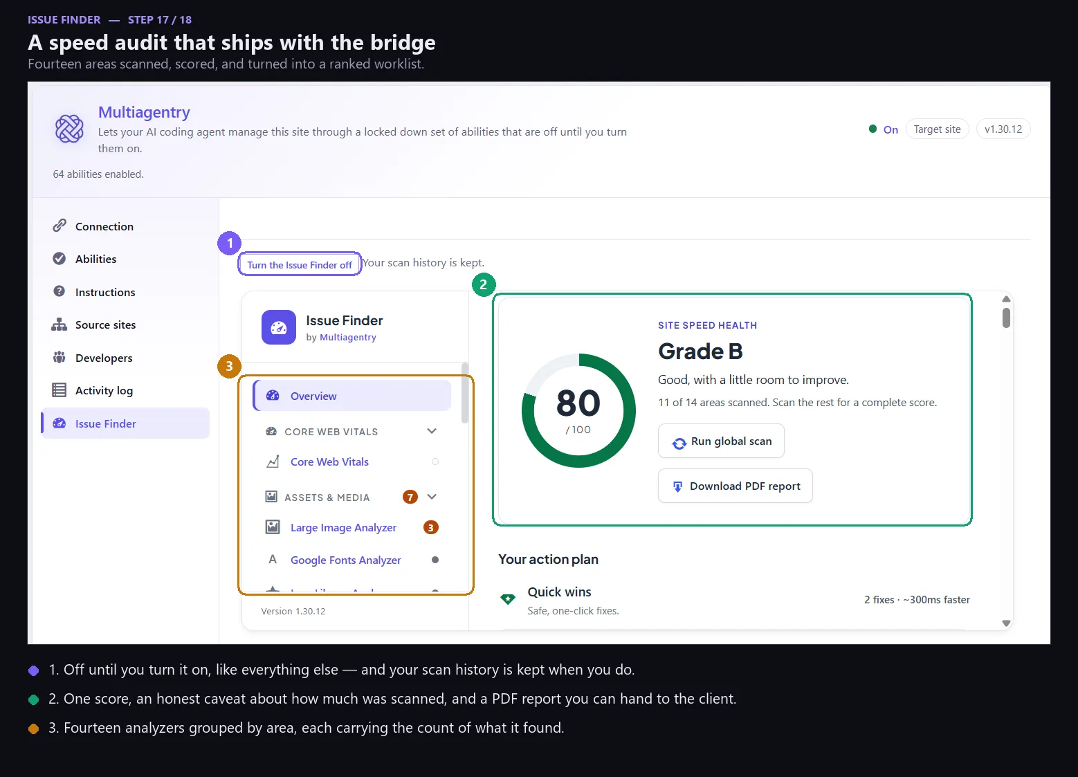 Issue Finder results and the site health score.