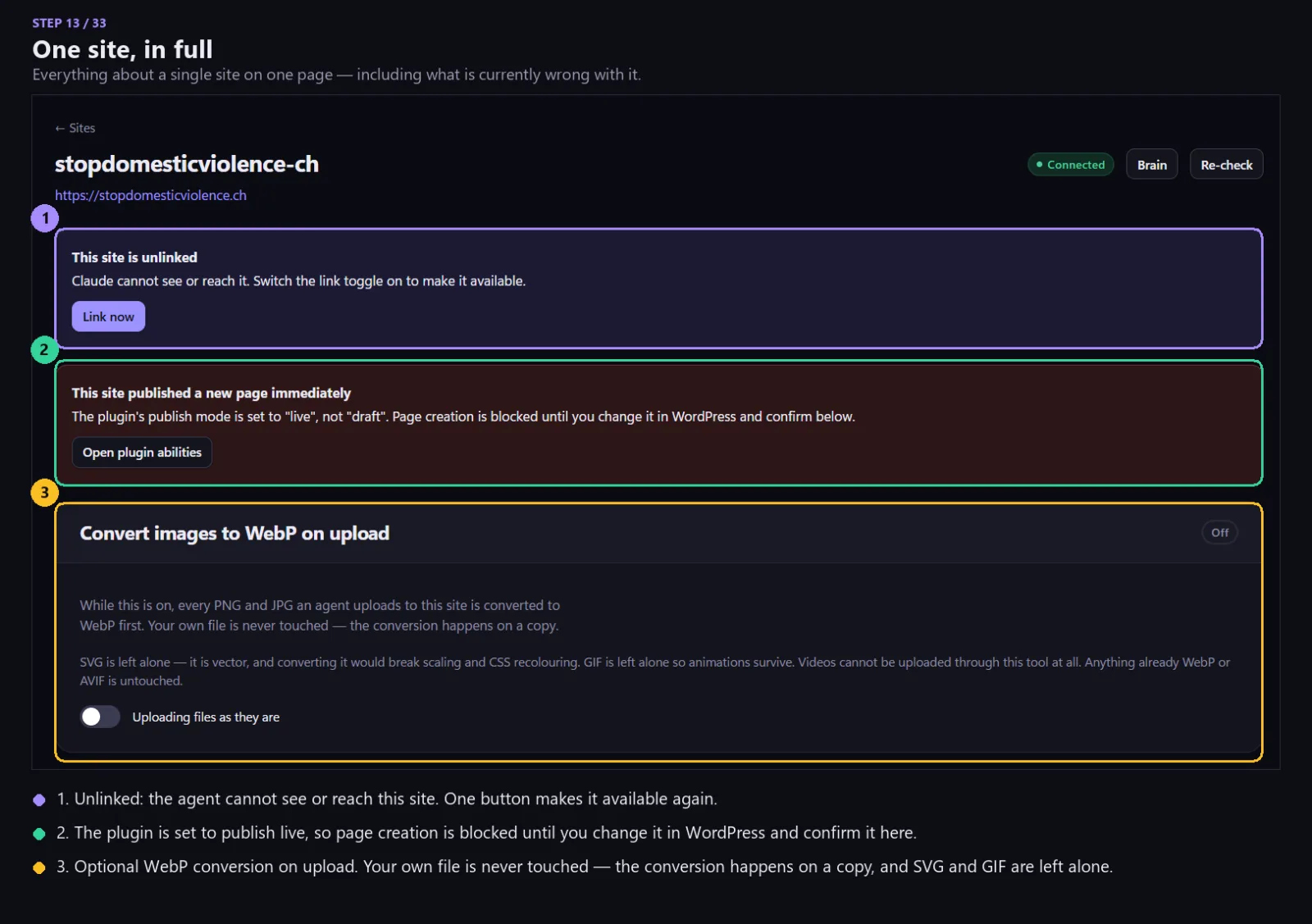 A site page showing the link state, a publish-mode warning and the WebP conversion switch.
